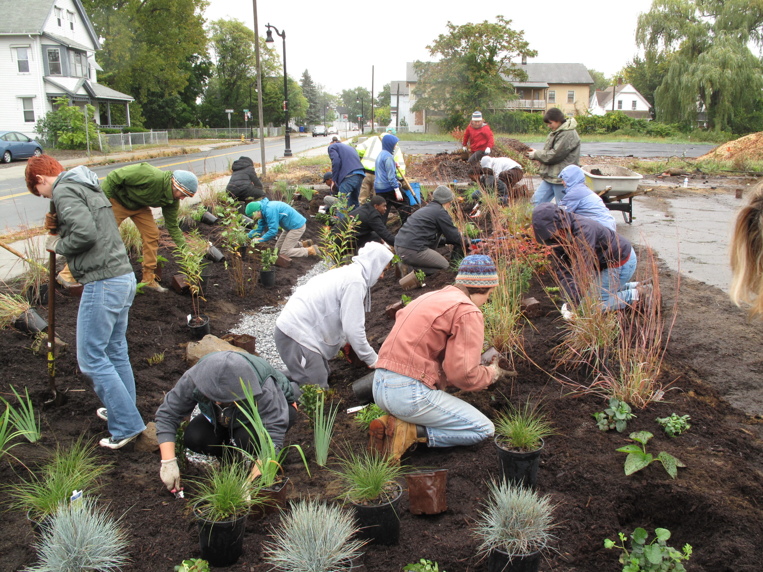 A diverse group of people collaborating to cultivate a garden, planting perennials together.