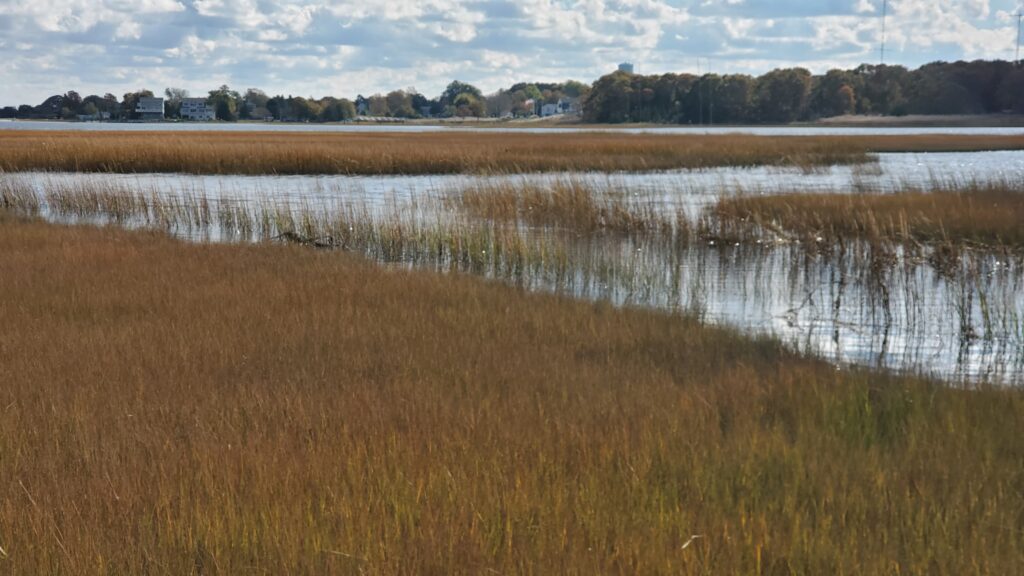 A classic salt marsh stretches across flat, grassy terrain shaped by the tides.